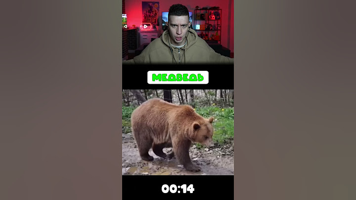 КАК ВЫГЛЯДЯТ ЖИВОТНЫЕ, ЕСЛИ ОНИ ТОЛСТЫЕ?! #Shorts #Глент