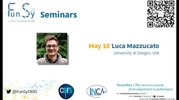 Luca Mazzucato | FunSy Seminar | Predicting the effect of micro-stimulation on spontaneous dynamics