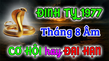 Sự Thật KHỦNG KHIẾP! Tháng 8 Này Tuổi Đinh Tỵ 1977 Gặp BIẾN LỚN! Cơ Hội Hay Đại Hạn
