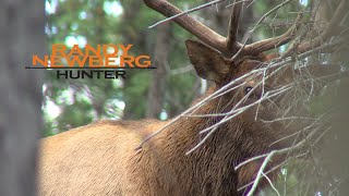 Hunting Utah Archery Elk with Randy Newberg (FT S3 E7)