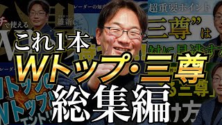 【総集編】維新の介のWトップ・三尊解説集