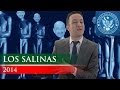 LOS SALINAS 2014 - EL PULSO DE LA REPÚBLICA