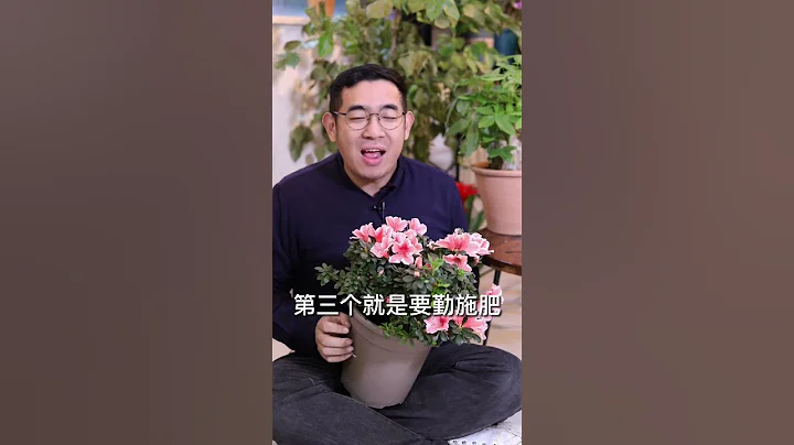 杜鹃花怎么养？ - 天天要闻