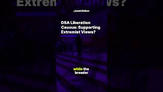 DSA Liberation Caucus: Supporting Extremist Views