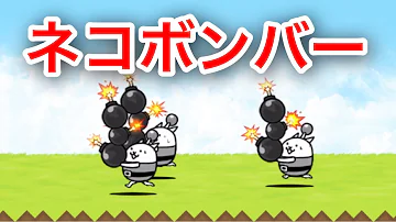 تحميل ネコフラワー進化への道 Mp4 Mp3 تحميل ネコフラワー進化への道 Mp4 Mp3