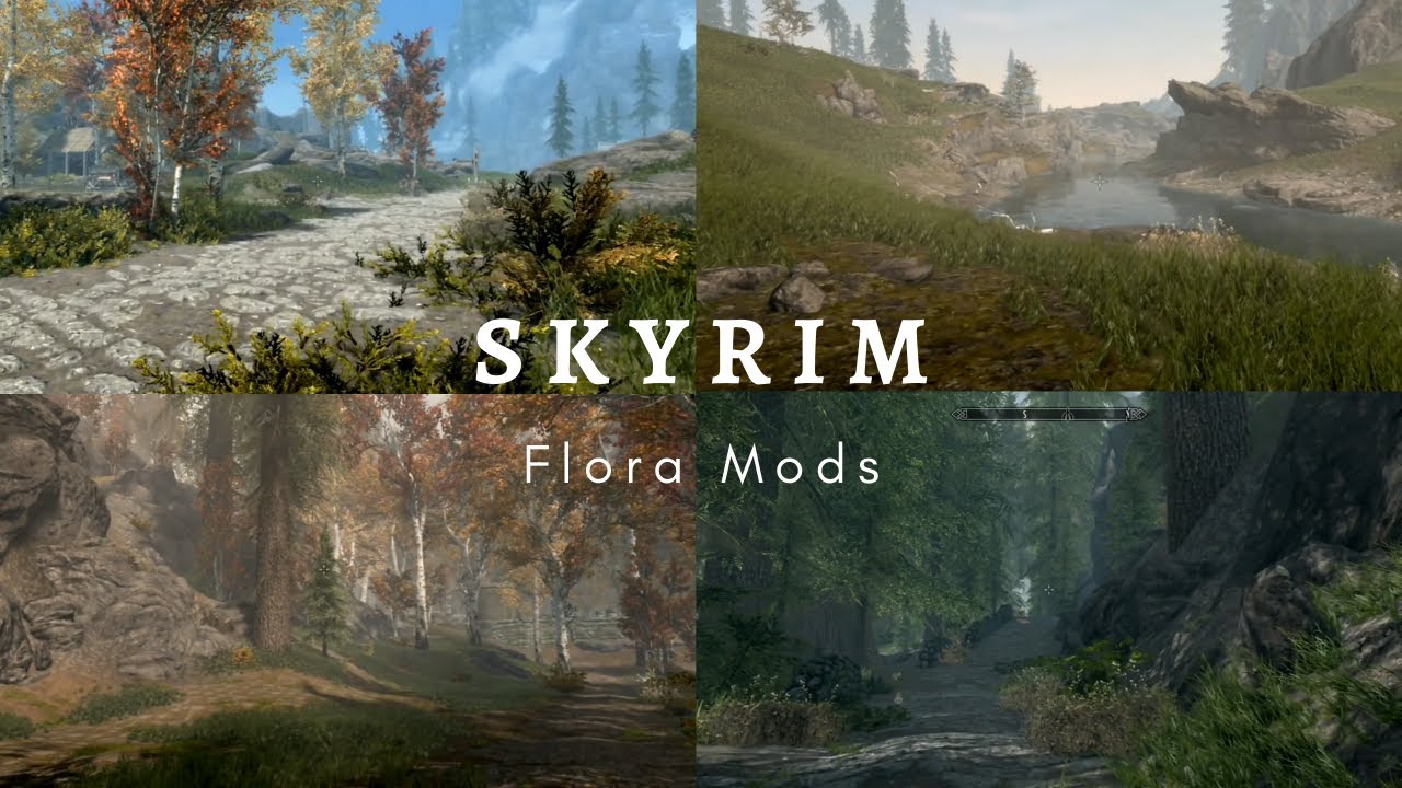 best grass mod skyrim best grass mod skyrim