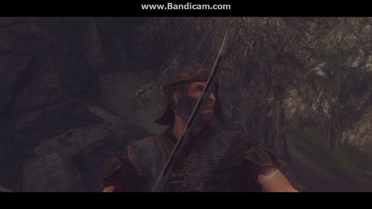 Skyrim Alonne Captain