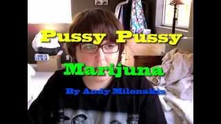 Pussy Pussy Marijuana - Andy Milonakis [Lyric Version]