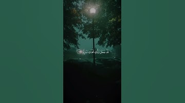 فناداها من تحتها ألا تحزني  القارئ أحمد النفيس #قرآن