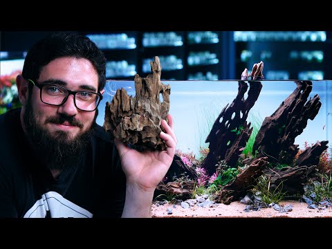 Video: Unikke Home Aquarium Animals