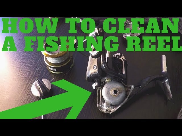 Silstar 2035 fishing reel how to take apart and service this spinning reel  