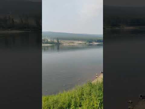 Video: Aldano upė, Jakutija: aprašymas, charakteristikos ir vieta
