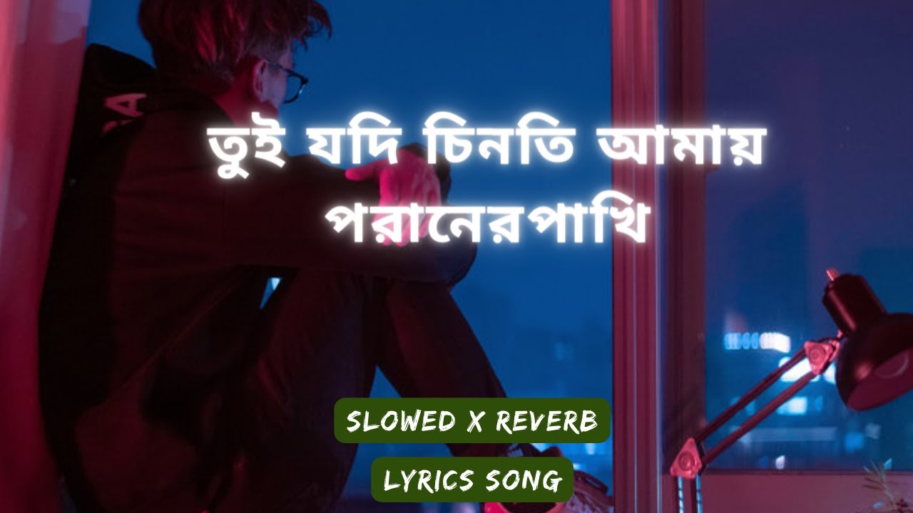 Tui jodi chinti amay poraner pakhiSlowed x Reverb     S I TutulLyrics