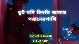 tui jodi chinti amay poraner pakhi(Slowed x Reverb)|তুই যদি চিনতি আমায় পরানের পাখি|S I Tutul|Lyrics screenshot 3