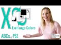 ABCs of PSE: X is for Exchange Colors (Photoshop Elements 2021)