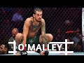Sean "Suga" O'malley Highlights || "What They Want"