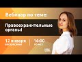 НШ I Обществознание. Правоохранительные органы.