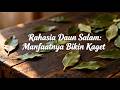 Rahasia Daun Salam || Manfaatnya Bikin Kaget