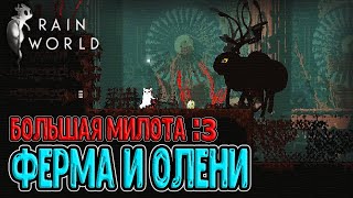 Фермы и новые существа / Живая трава, Лапшемухи и милые Олени / Rain World (Мир дождя) прохождение screenshot 3