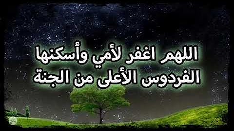 سورة هود من الآية ١١١ إلى الآية ١٢٠