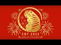 Most Compatible Chinese Zodiac Signs for the Tiger - Are You The Lucky One?