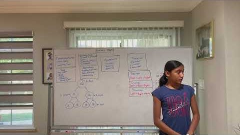 Binary Trees - Part 1