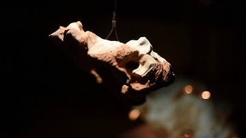 Oxke Fixu - "MA" - Teaser