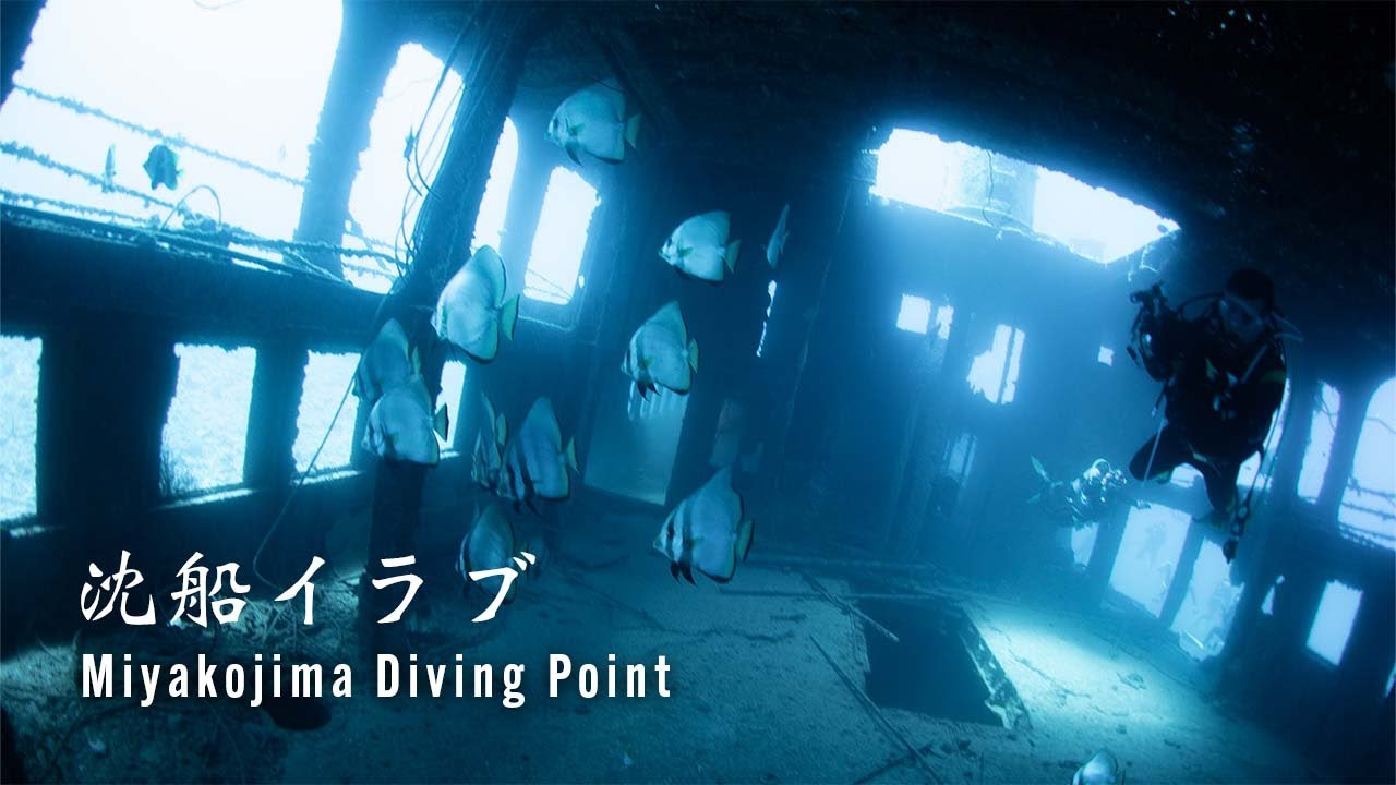 必見 宮古島ダイビングポイントとシーズン解説を徹底大公開 宮古島ファンダイビング専門ショップ Bigholiday