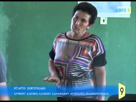 ცარიელი საარჩევნო უბანი