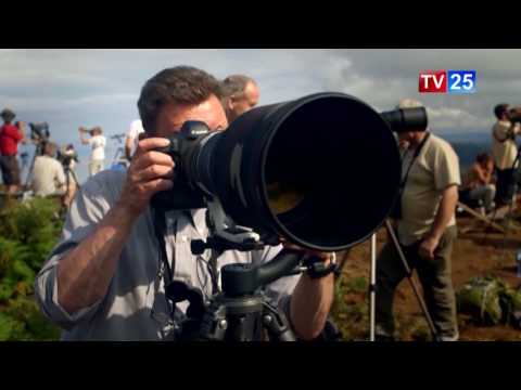 ფრინველებზე დაკვირვების საერთაშორისო ფესტივალი