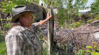 North Toledo resident calls for action on overgrown properties along Chase Street