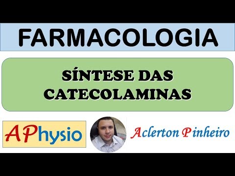 Vídeo: Onde pode ser encontrado o catecol?