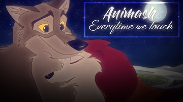 Animash ~ Everytime We Touch