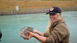 AP Bassing is Back to Catch Sydnie Her First Trout... And i catch My First Snapper by Trout Hunting NZ 9,342 views 11 months ago 13 minutes, 20 seconds