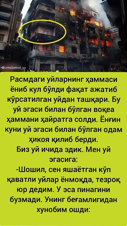 #music #remix #dj #song #love #rek #qashqirlarmakonipistirma #history