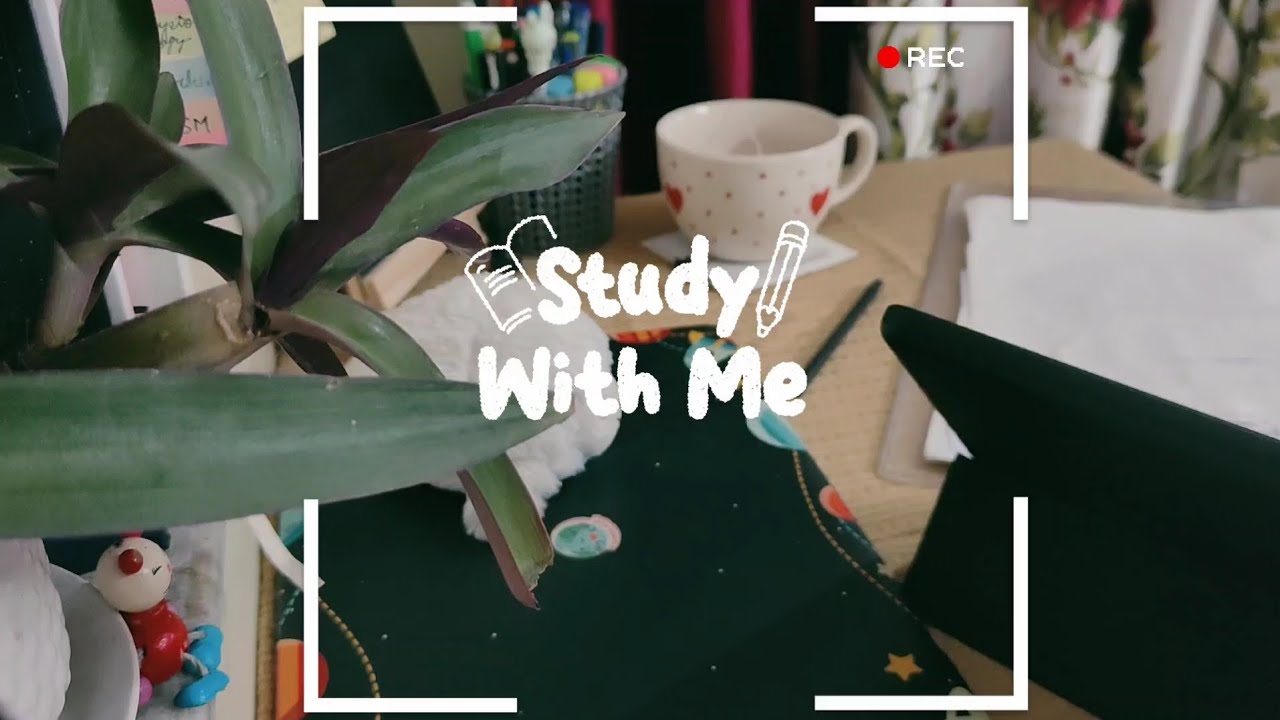 1 HOUR STUDY WITH ME no break | Background noise | real time | No music 