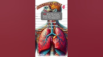 Anatomy Quiz, can you answer these few questions correctly? #anatomy #quiz #questions #answer #short