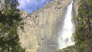 Self Power: The Truth Inside