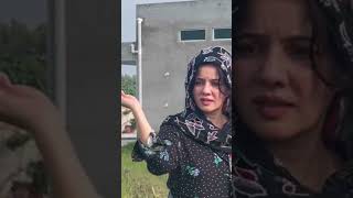 Rabi Pirzada Farmhouse