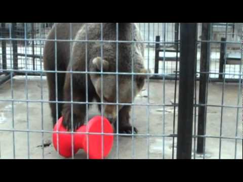 rescue rangers Thanks for the Toys!