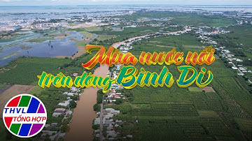 Ký sự truyền hình: Mùa nước nổi trên dòng Bình Di