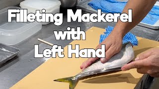 Filleting Mackerel with Left Hand @tokyosushiacademyenglishcourse by Tokyo Sushi Academy English Course / 東京すしアカデミー英語コース 2,189 views 2 years ago 1 minute, 38 seconds