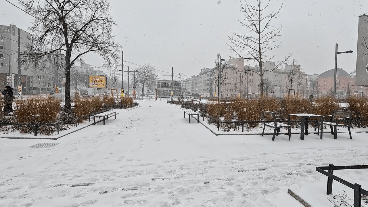 A Rare Snowy Day in Vienna | Quiet Winter Walk ❄️