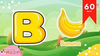 Mengenal Huruf ABC dan Warna dengan Gambar | 60 Menit