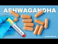How Ashwagandha Increases Testosterone
