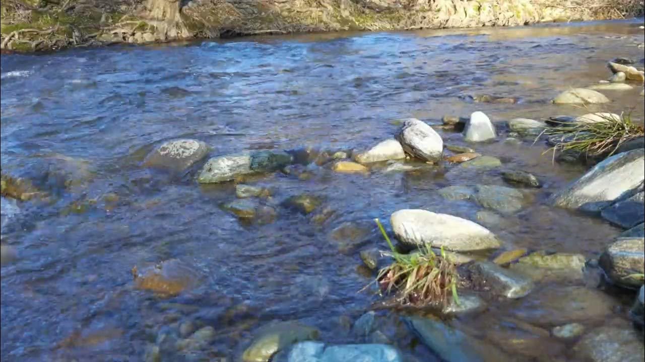 Relaxing River Flowing Sound Water Sound One Hour White Noise