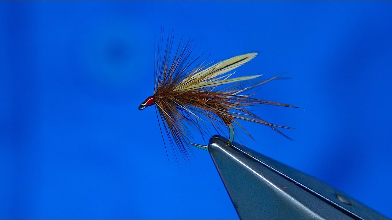 Tying an International Daddy Snatcher with Davie McPhail - YouTube