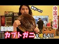 生きた化石「カブトガニ」を食べる！