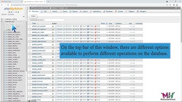 How to export database table via phpMyAdmin in cPanel with MonsterHost