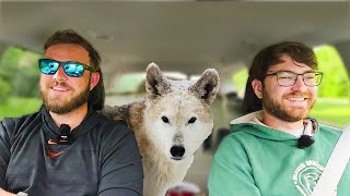 Road Trip With The Wolves, Connor & Nick